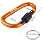 3”D-Clip Durable Locking Carabiner Keychain Clip,Keychain Clip Hook, Spring Snap Hook, Set of 10 (Orange)