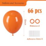 Voircoloria Orange Balloons, 66pack 12inch Burnt Orange Latex Party Balloons for Thanksgiving Day, Fall Theme Party, Wedding, Birthday, Halloween, Baby Shower, Anniversary Party Decorations