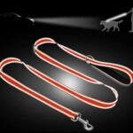 Taglory Dog Leash for Medium Large Dogs | Double-Sided Reflective | Soft Neoprene Padded Handle | 1 inch by 6 ft | Fit Medium Large Breeds Dogs 20-150 lbs | Orange