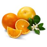 Navel Oranges and Ruby Grapefruit 20lb Box