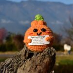 qyqkfly 1 Pcs Mini Handmade Cute Funny Positive Life Potato Creative Knitted Tomato Holding Card Crotchet Birthday Party Decor(orange)