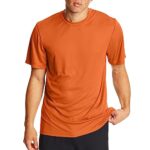 Hanes mens Sport Cool Dri Performance Tee fashion t shirts, Safety Orange, Large US