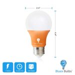 Bluex Bulbs 2 Pack Bluex LED A19 Orange Light Bulb – 7W (50Watt Equivalent) – E26 Base LED Orange Bulb, Party Decoration, Porch, Home Lighting, Holiday Lighting, Decorative Illumination (Orange)