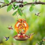 BOLITE Hummingbird Feeder, 18016O Hummingbird feeders for Outdoors Hanging, Hand Blown Glass, Meshy Texture Ball Shape Bottle, 5 Feeding Ports with Perch, 20 Ounces, Orange, Xmas Gifts for Bird Lovers