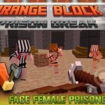 Orange Block Prison Break