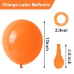 RUBFAC Orange Balloons, 50pcs 12 Inch Orange Balloons and Ribbon, Thick Latex Balloons for Birthday Wedding Baby Shower Graduation Anniversary Party Decorations