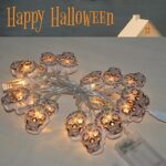 Halloween String Lights, 2 Packs Skull String Lights 30 LED Skull Lights 15ft Halloween Decoration Lights Battery/USB Powered Optional 2 Modes Halloween Lights Indoor Outdoor for Home Yard Patio