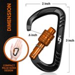 RHINO Produxs 2PCS of 12kN (2697 lbs) Heavy Duty Lightweight Locking Carabiner Clips – Excellent for Securing Pets, Outdoor, Camping, Hiking, Hammock, Dog Leash Harness, Keychains, Water Bottle