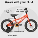 AVASTA 14 inch Kids Bike for 3 4 5 6 Years Old Little Kids Boys Girls with Training Wheels Coaster Brake with Bell Ring Adjustable Seat, Color Orange