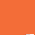 Reloaders Log Book – Detailed Hand Reloading Data Log Sheets – 100 pages – 8.5 x 11 – Orange