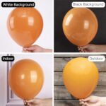 PartyWoo Burnt Orange Balloons, 105 pcs 12 Inch Dark Orange Balloons, Orange Balloons for Balloon Garland Arch as Party Decorations, Birthday Decorations, Neutral Baby Shower Decorations, Orange-F53