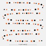 46Ft Orange Black Circle Dot Garland Black Orange and White Polka Dot Hanging Paper Streamer for Birthday Wedding Bridal Shower Baby Shower Fall Autumn Halloween Thanksgiving Party Decoration Supplies