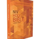 NIV, Outreach Bible, Large Print, Paperback