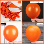 PartyWoo Orange Balloons 142 pcs Orange Balloon Different Sizes Pack of 18 12 10 5 Inch Pumpkin Balloons Balloon Garland Arch Kit for Thanksgiving Halloween Fall Birthday Party Decorations Orange-Y9