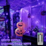 YEGUO 2 Packs Each 33ft 100 LED Green Wire Christmas Lightss(Purple)