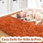 Amdrebio Burnt Orange Area Rugs for Living Room Bedroom, Fluffy Shaggy Fuzzy Thick Shag Rug 5×7 for Kids Room Decor, Modern Cute Plush Furry Dark Orange Carpet for Nursery Dorm Classroom Playroom